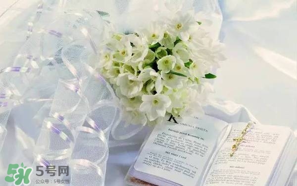 jill stuart湛藍(lán)祝福限定系列有哪些？jill stuart湛藍(lán)限定多少錢？