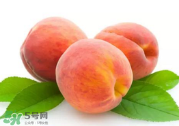 桃子為什么不能和西瓜一起吃？桃子和西瓜為什么不能一起吃？