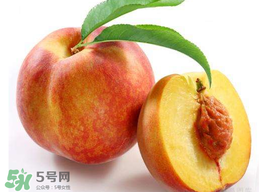 桃子可以放冰箱嗎？桃子能放冰箱保鮮嗎？