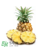 孕婦能吃菠蘿嗎？菠蘿孕婦能不能吃？