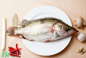 ?五月份吃什么魚(yú)？5月份吃什么魚(yú)？