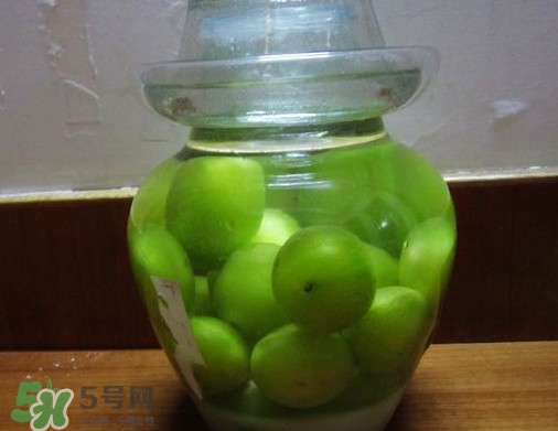 三華李可以泡酒嗎？三華李可以多吃嗎？