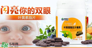 葉黃素真的有作用嗎？葉黃素的臨床試驗證明有用！