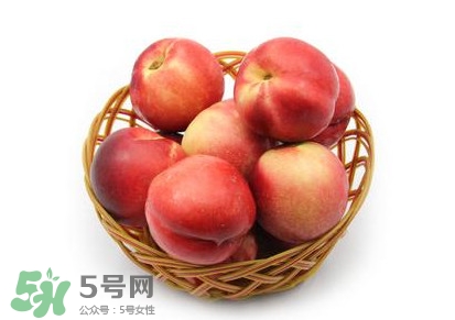 三華李可以泡酒嗎？三華李可以多吃嗎？