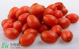 羊奶果可以連皮吃嗎？羊奶果的皮可以吃嗎
