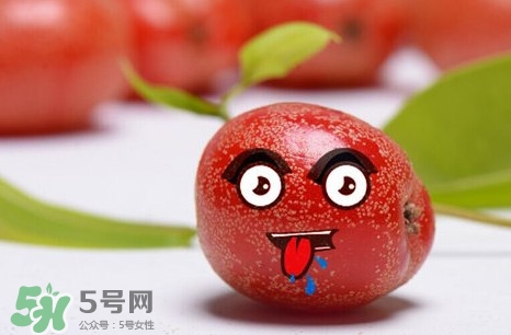 羊奶子有什么藥用價(jià)值？羊奶子有什么功效