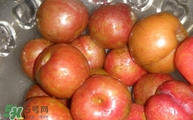三華李可以泡酒嗎？三華李可以多吃嗎？