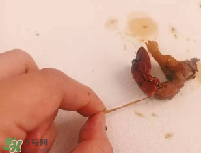 周黑鴨小龍蝦好吃嗎？周黑鴨小龍蝦試吃評測
