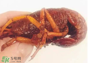 周黑鴨小龍蝦好吃嗎？周黑鴨小龍蝦試吃評測
