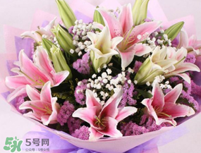百合花多少錢一支2017？百合花多少錢一束2017？