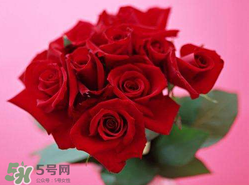 玫瑰花多少錢(qián)一朵 玫瑰花多少錢(qián)一束