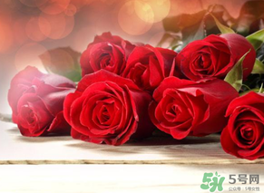 母親節(jié)送什么顏色的玫瑰花？母親節(jié)送幾朵玫瑰花？