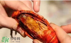 周黑鴨小龍蝦怎么吃？周黑鴨小龍蝦怎么吃圖解？