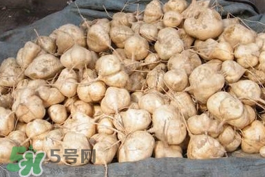 土瓜怎么做好吃？土瓜的做法大全
