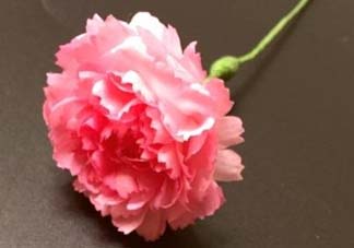 母親節(jié)可以送紙做的康乃馨嗎？康乃馨怎么折？