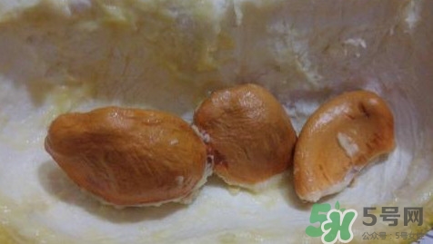 榴蓮核有毒嗎？榴蓮核有什么作用