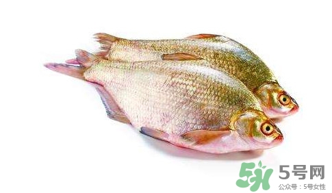 鳊魚怎么做好吃？鳊魚怎么燒好吃