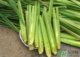 茭白能放冰箱嗎？茭白可以放冰箱多久