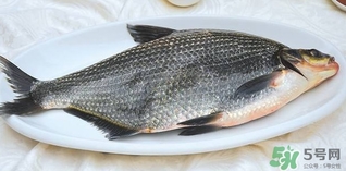 鳊魚怎么做好吃？鳊魚怎么燒好吃