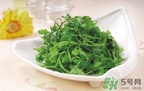 菊花腦孕婦能吃嗎？孕婦可以吃菊花腦嗎