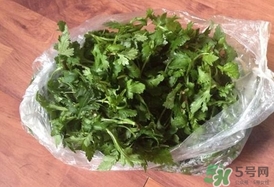 菊花腦怎么做好吃？菊花腦怎么做有營養(yǎng)
