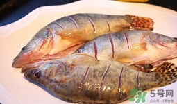 鱖魚是桂魚嗎？鱖魚和桂魚的區(qū)別