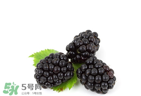 覆盆子的熱量高嗎？覆盆子可以減肥嗎？