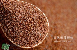 海藻面膜要泡多久最好？海藻面膜要泡多長(zhǎng)時(shí)間？