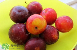 李子可以和西紅柿一起吃嗎？西紅柿和李子能同吃？