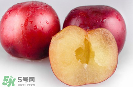 李子可以和西紅柿一起吃嗎？西紅柿和李子能同吃？