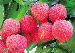 荔枝和蝦能一起吃嗎？荔枝與蝦同食會中毒嗎？