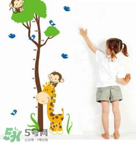 給孩子補(bǔ)鈣可以長高嗎？身高跟補(bǔ)鈣有沒有直接關(guān)系？