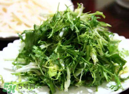苦菜要焯水嗎？焯苦菜的水能喝嗎？