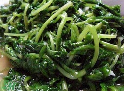 苦菜可以曬干嗎？苦菜怎么曬干？