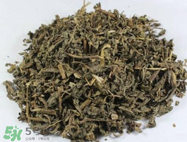 苦菜可以曬干嗎？苦菜怎么曬干？