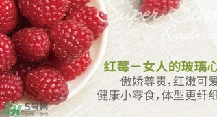 刺泡的熱量 刺泡可以減肥嗎？