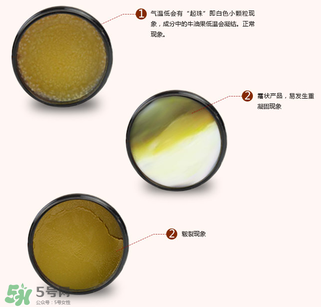 地球媽媽護(hù)臀膏能擦臉嗎？地球媽媽護(hù)臀膏可以擦臉用嗎？