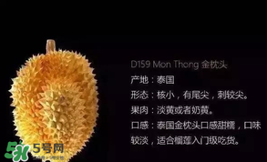 金枕頭和貓山王哪個(gè)好？金枕頭和貓山王的區(qū)別