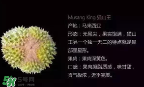 金枕頭和貓山王哪個(gè)好？金枕頭和貓山王的區(qū)別