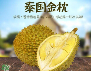 金枕頭榴蓮怎么才算熟？金枕頭榴蓮怎么催熟？