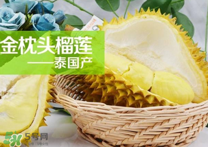 金枕頭榴蓮怎么才算熟？金枕頭榴蓮怎么催熟？