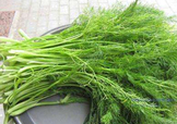 茴香菜是酸性還是堿性？什么人不能吃茴香菜