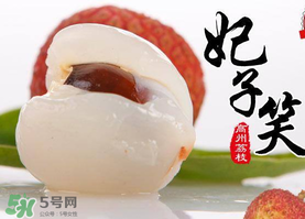 荔枝為什么叫妃子笑？荔枝和妃子笑的區(qū)別