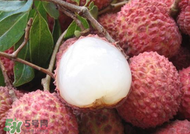 吃荔枝被酒駕怎么辦？吃荔枝酒駕是真的嗎？