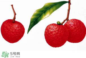 拉肚子能吃荔枝嗎 ？拉肚子可以吃荔枝嗎 ？