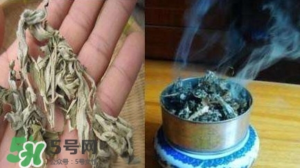 艾葉可以驅(qū)蚊子嗎？艾葉能驅(qū)蚊子嗎