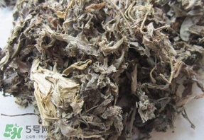 艾葉能治胃病嗎？艾葉可以治慢性胃炎嗎