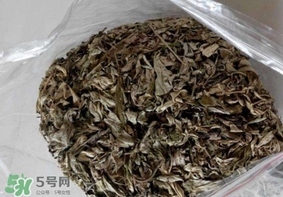 艾葉枕頭孕婦可以用嗎？艾葉枕頭小孩可以用嗎