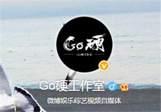 go硬工作室和卓偉有什么關系？go硬工作室是卓偉前員工成立的？