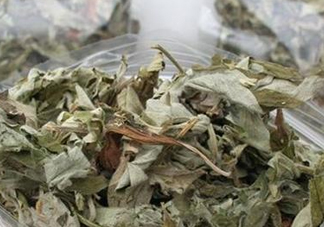艾葉怎么做枕頭？自制艾葉怎么做枕頭